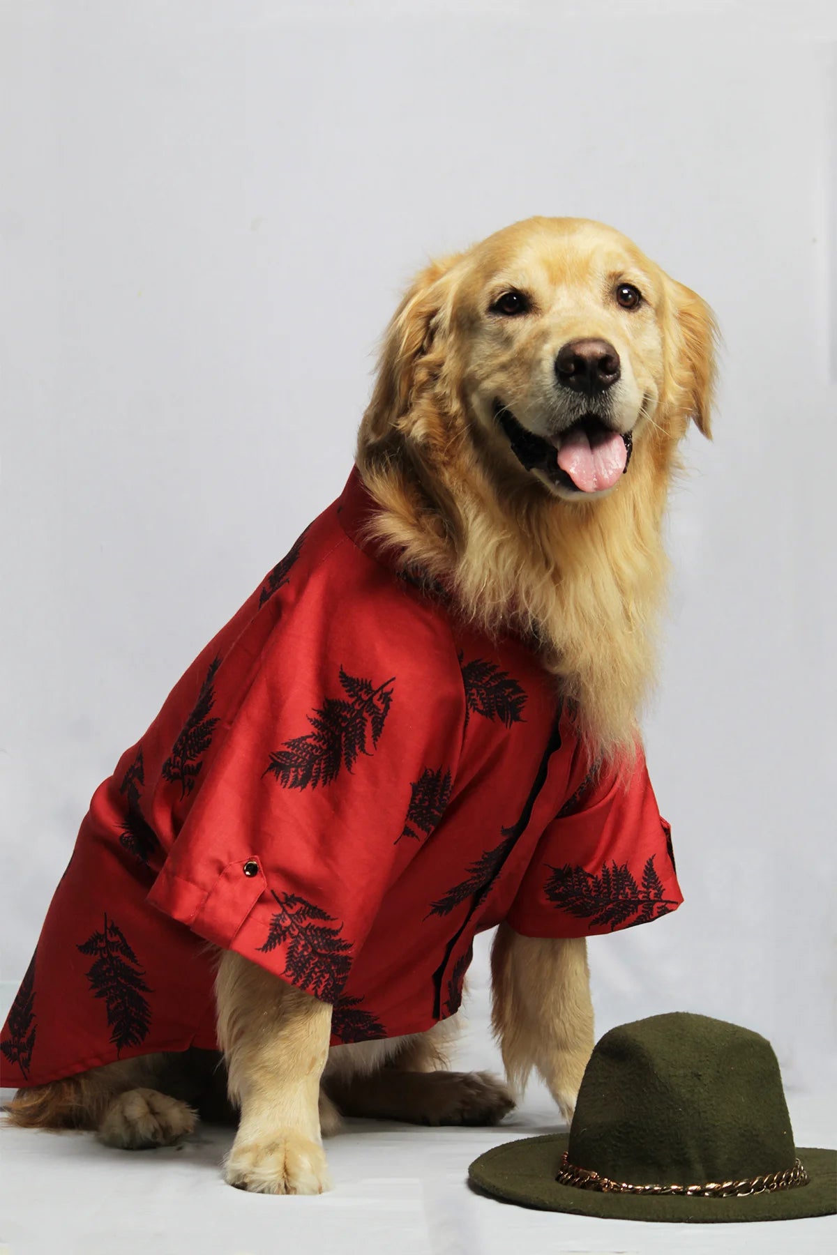 Golden Retriever sitting in a red leaf print pet shirt with a hat nearby, ideal for summer outings and vacations—The Woof Parade.