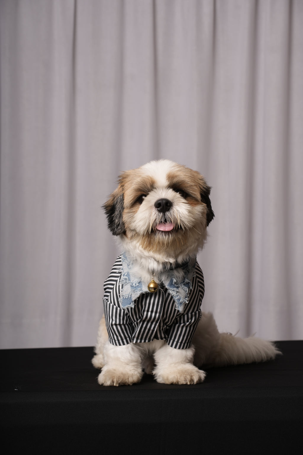 Denim Daze Shirt for Dogs & Cats Rs. 1,299.00