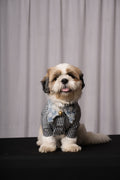 Denim Daze Shirt for Dogs & Cats Rs. 1,299.00