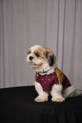 Purple Kanha Kurta for Dogs & Cats