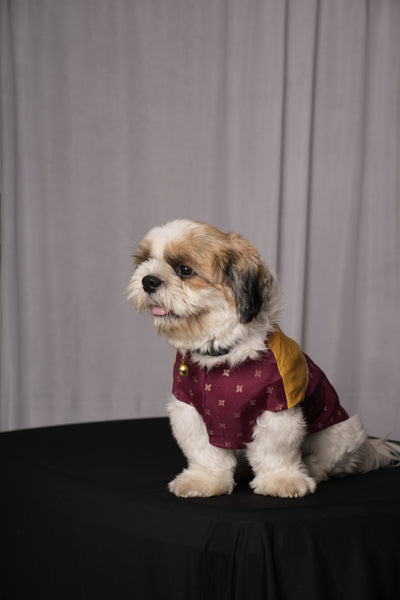 Purple Kanha Kurta for Dogs & Cats
