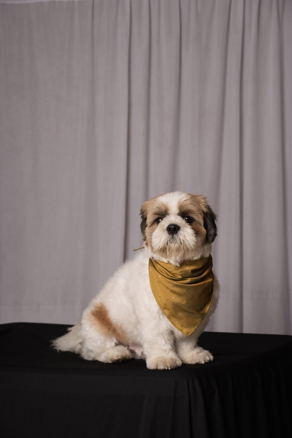 Olive Festive Bandana