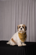 Olive Festive Bandana