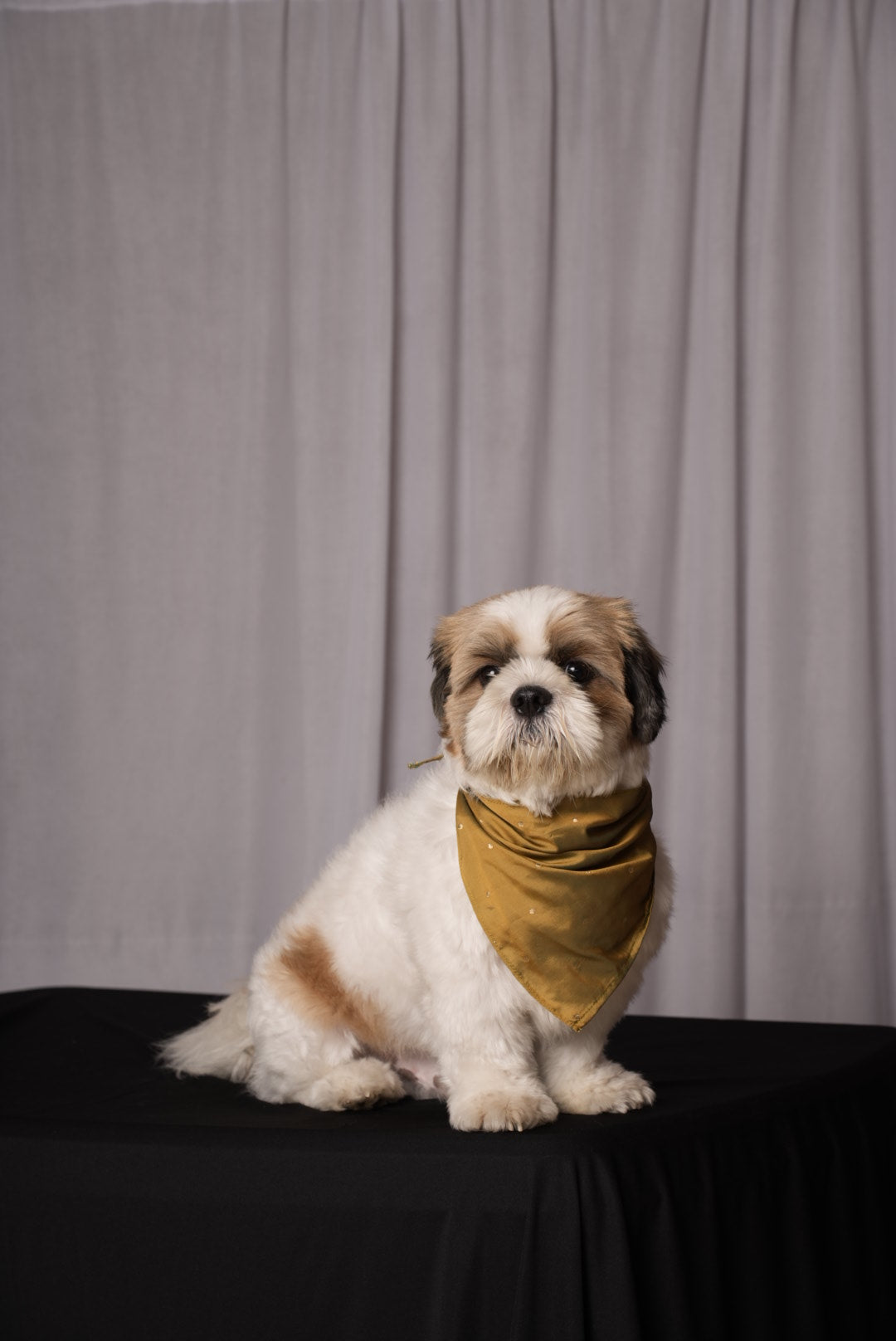 Olive Festive Bandana