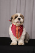 Khan Traditional Pink Bandana