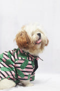 Shih Tzu dog sitting and wearing a pink Satin Blush Shirt with black stripes and tropical leaf print from The Woof Parade.