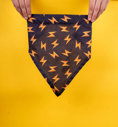 Flash Bandana for dogs