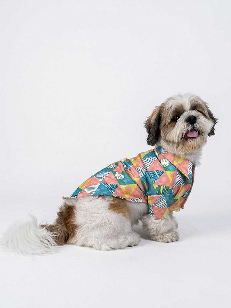 Shih Tzu dog sitting and wearing a colorful Tropicana Triangle Shirt for pets from The Woof Parade.