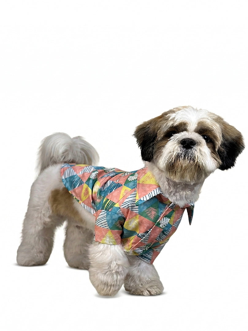 Shih Tzu dog sitting and wearing a colorful Tropicana Triangle Shirt for pets from The Woof Parade.