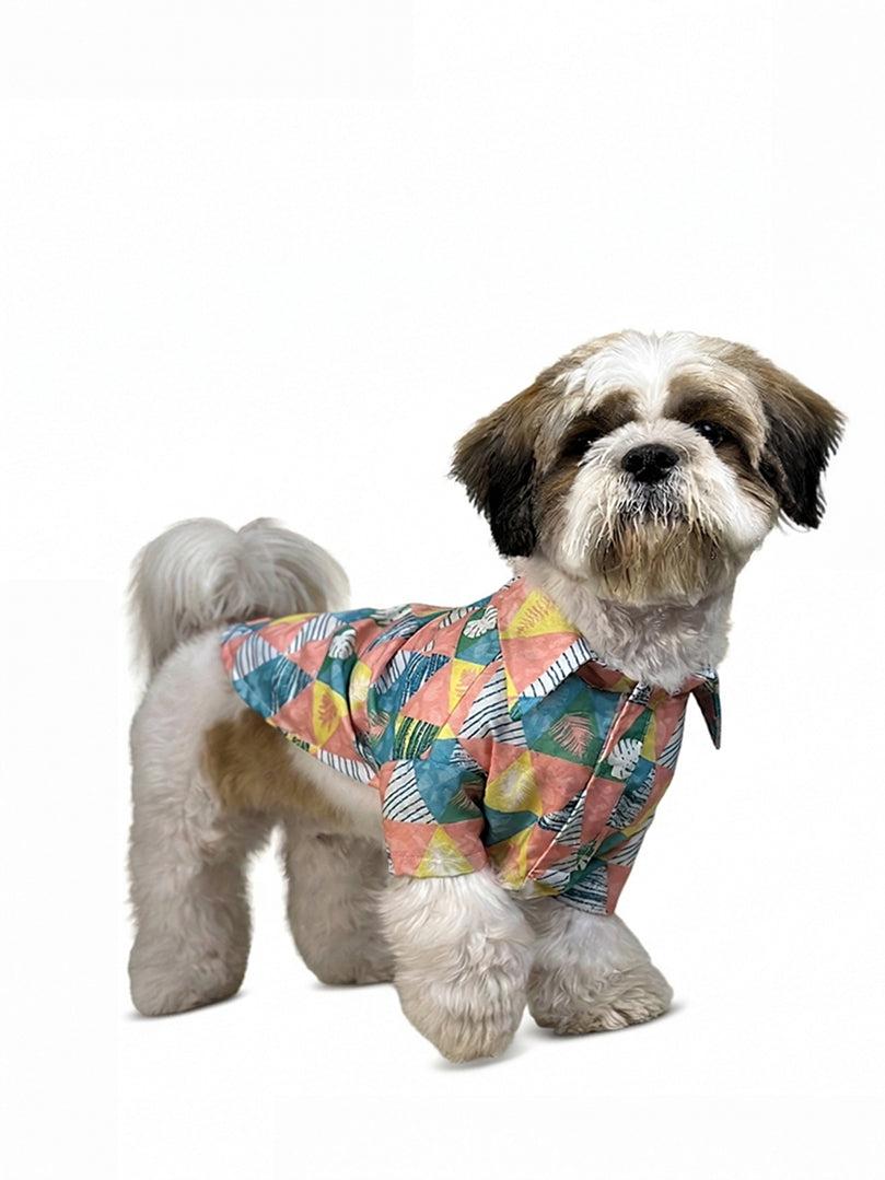 Tropicana Triangle Shirt for dogs & cats