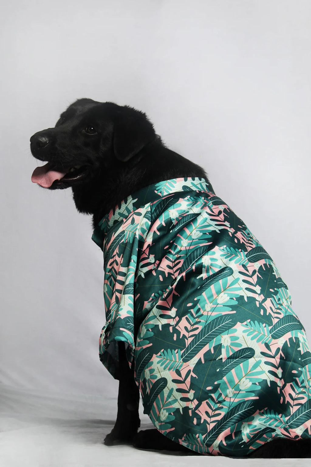 Side profile of a large black dog wearing a lightweight Tropicana Paw Shirt with a tropical pattern, ideal for summer vacations — The Woof Parade.
