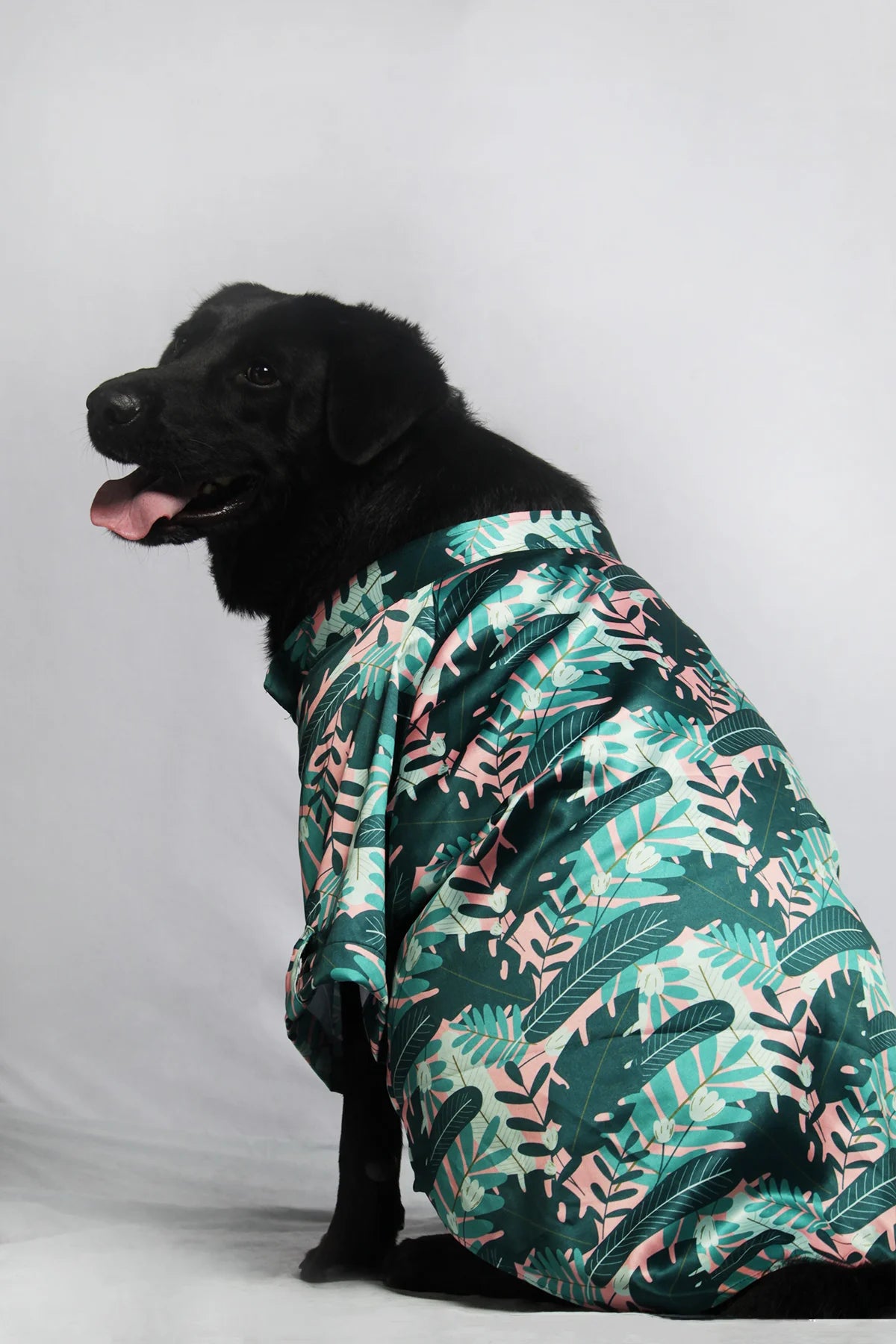 Side profile of a large black dog wearing a lightweight Tropicana Paw Shirt with a tropical pattern, ideal for summer vacations — The Woof Parade.