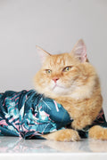 Close-up of an orange cat wearing a teal Tropicana Paw Shirt with a vibrant tropical leaf and pink flamingo print from The Woof Parade.