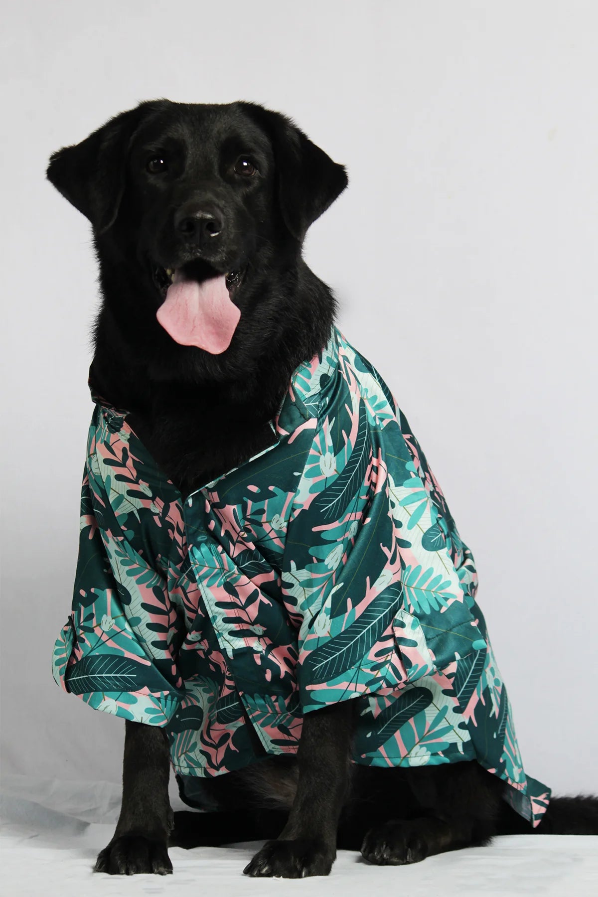 Front view of a black dog sitting in a stylish teal tropical themed pet shirt for outdoor outings from The Woof Parade.