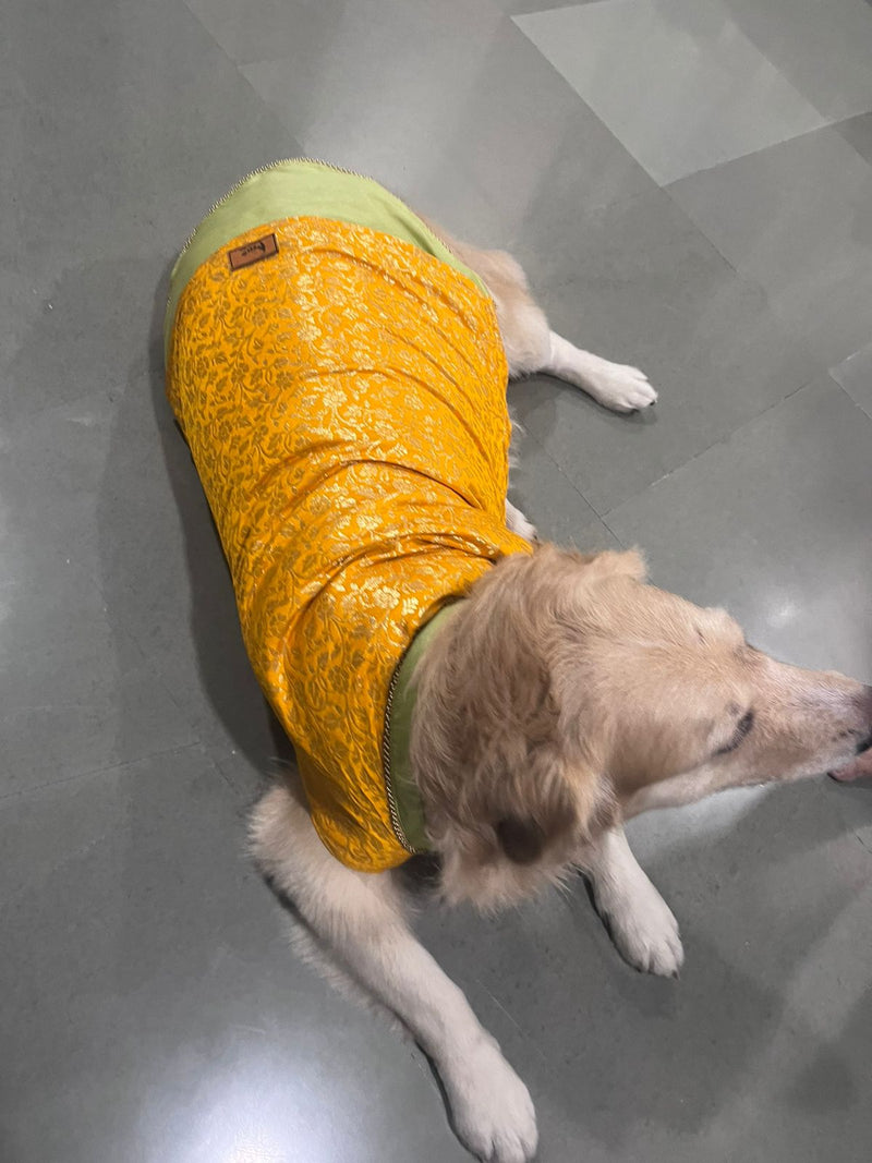 Real customer pup