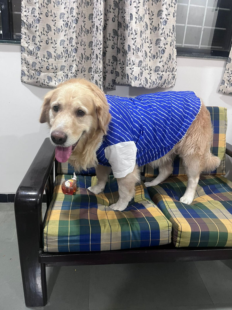 Blue Lehariya Kurta for dogs & cats