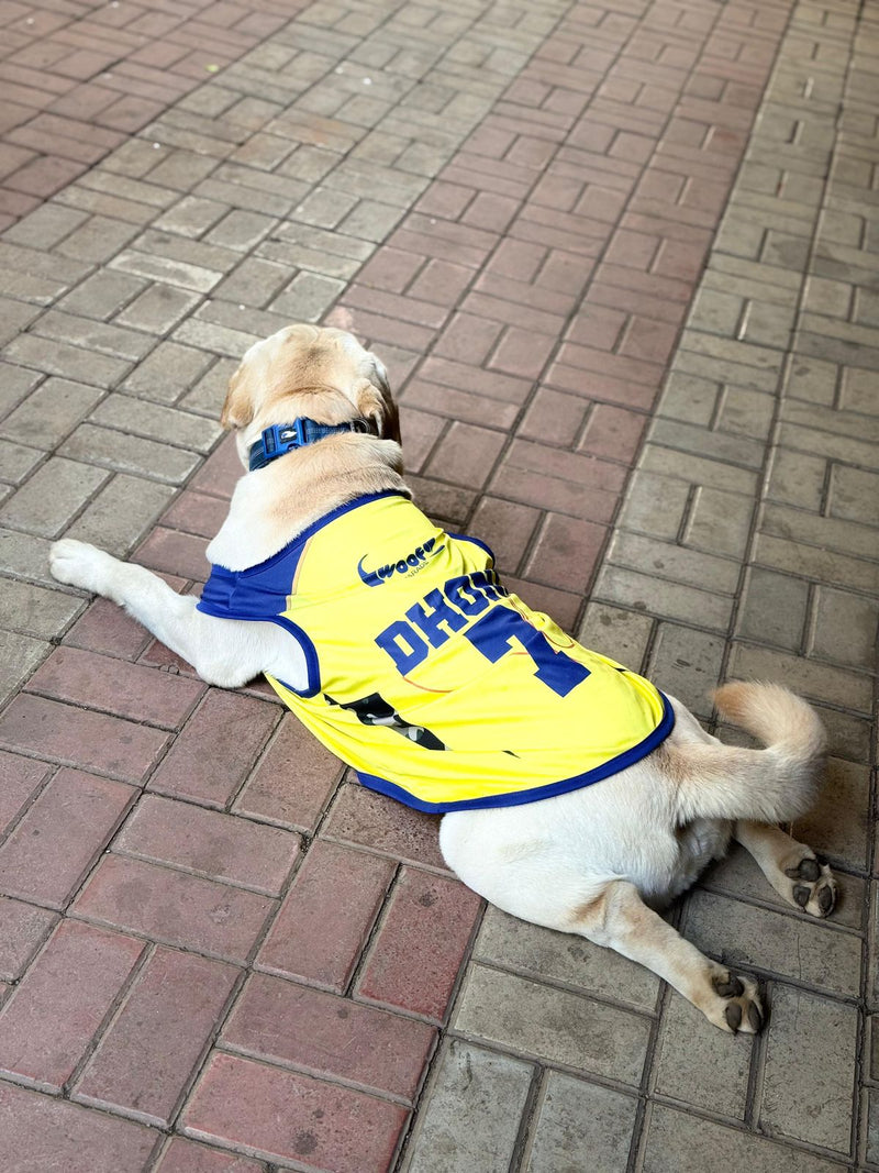 CSK Inspired Pet Jersey #7 for Dogs and Cats
