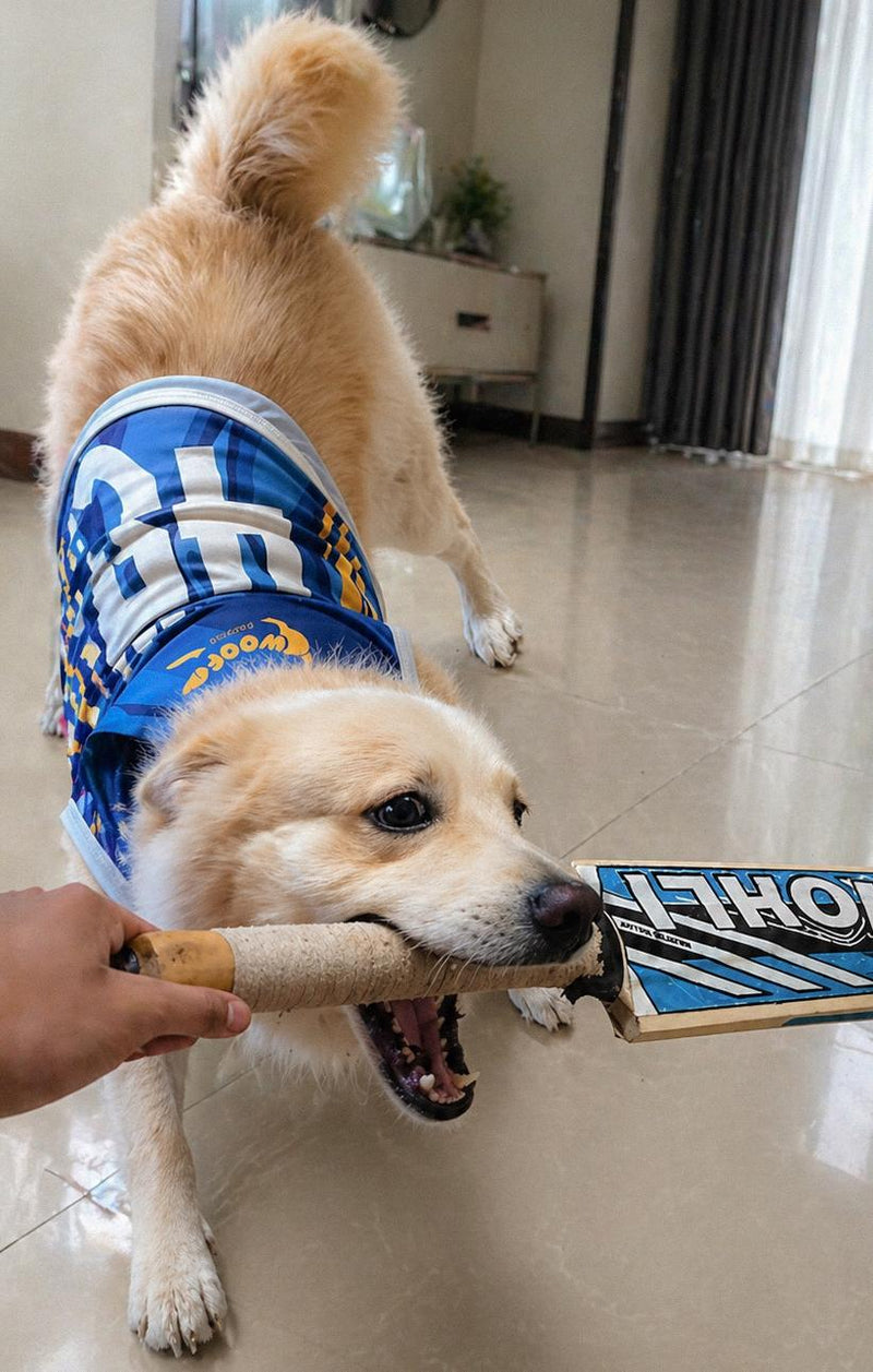 MI Inspired Pet Jersey #45 Style for Dogs and Cats