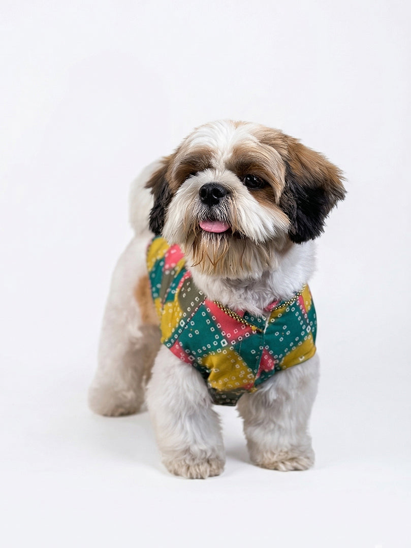 Comfortable front fit of a multicolour festive kurta for dogs and cats with easy-to-wear styling from The Woof Parade.