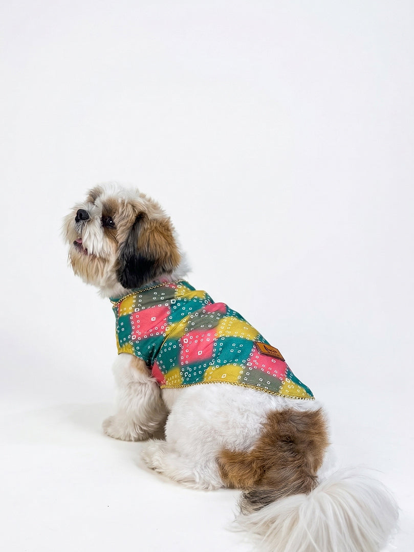 Back view of a pet friendly Multicolour Bandhani Kurta featuring traditional tie-dye patterns by The Woof Parade.
