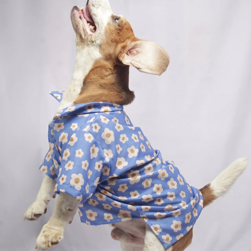 Blue Meadow Cotton Shirt for dogs & cats