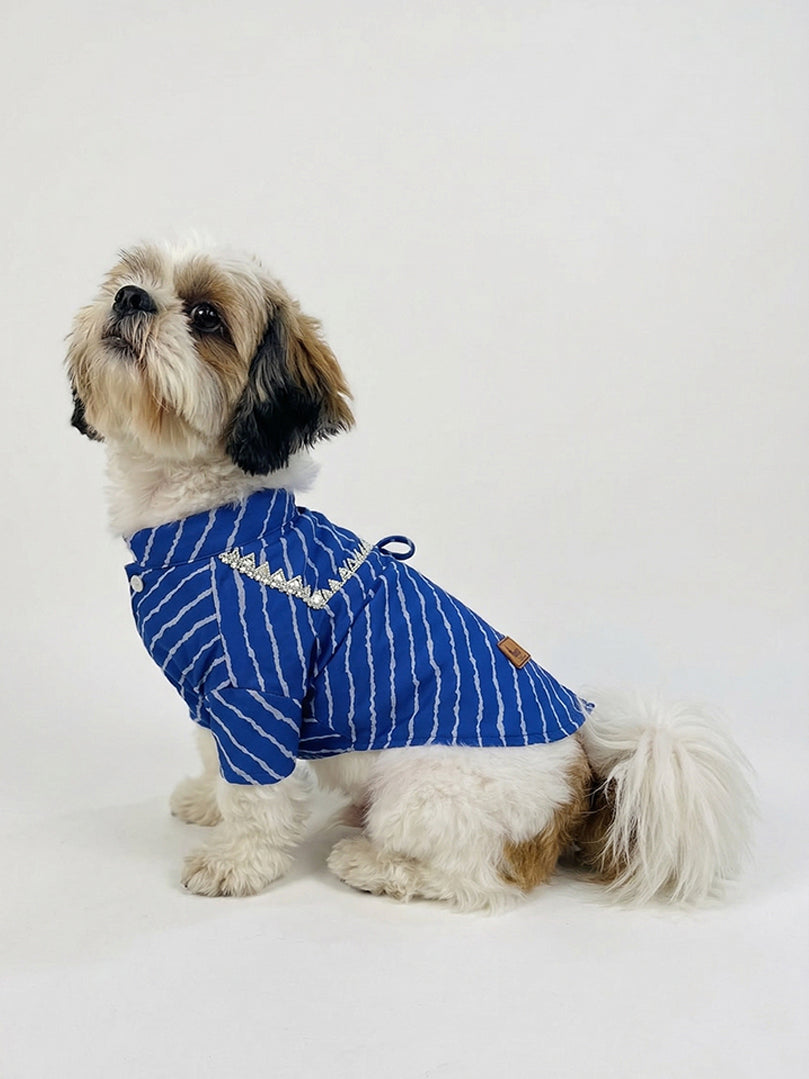 Side profile of a Shih Tzu wearing a lightweight Blue Lehariya festive kurta from The Woof Parade.