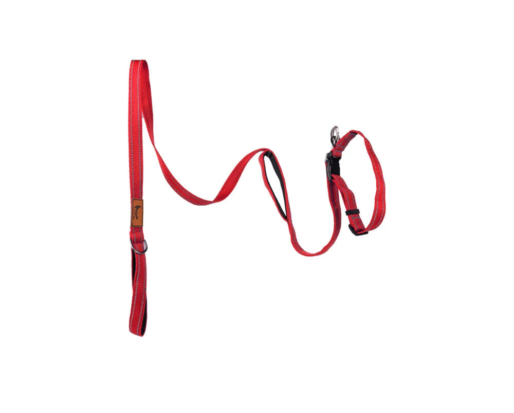 Red double handle reflective dog leash with dual padded handles and a strong metal clasp from The Woof Parade.