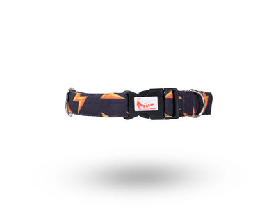 Flash Printed Collar for dogs