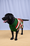 Greenforest Stripe Sweater