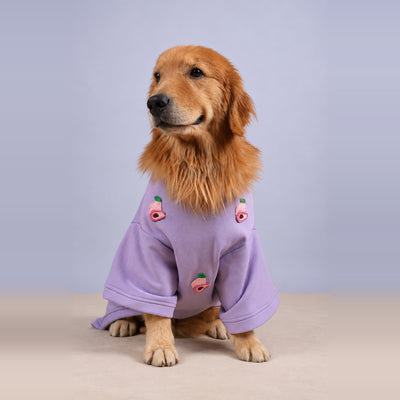 Lavish Peachy Sweatshirt
