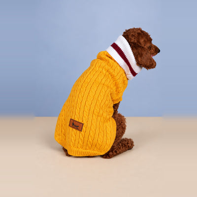 Mango Dolly Pullover
