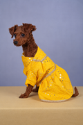 Marigold Embroidered Dress
