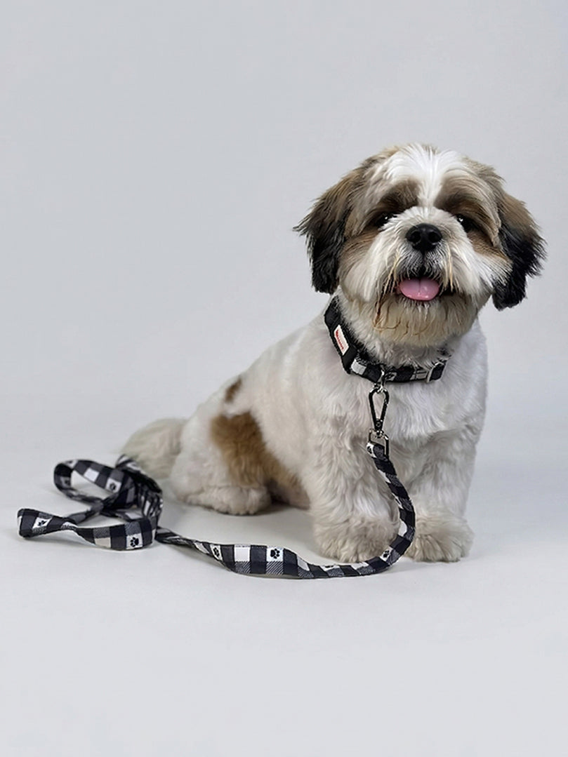 Printed Collar + Leash (Paw Printed) for dogs