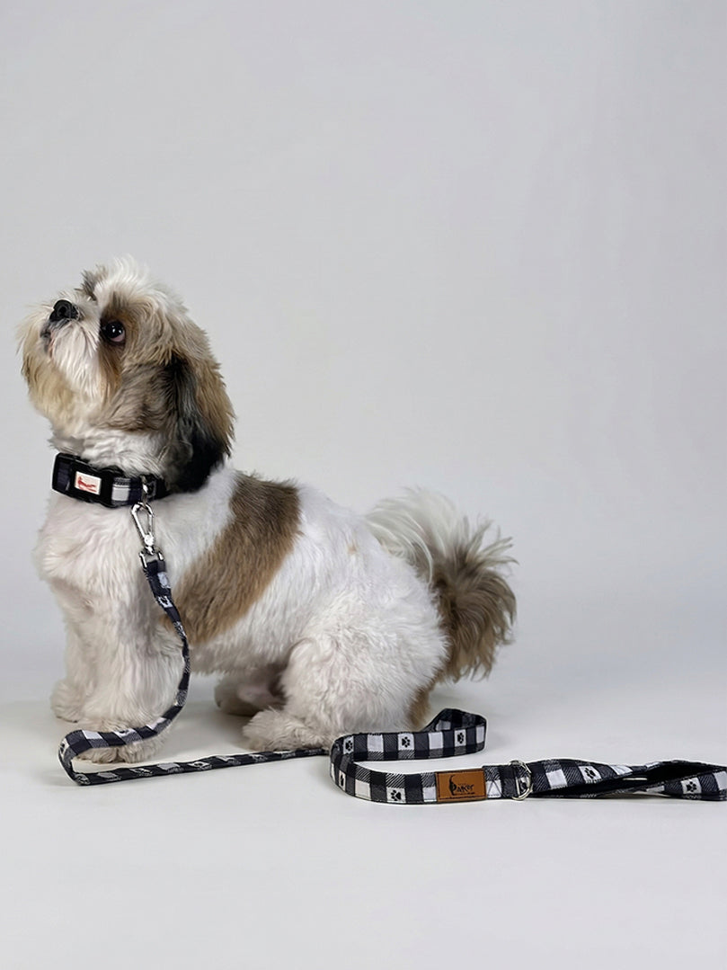 Printed Collar + Leash (Paw Printed) for dogs