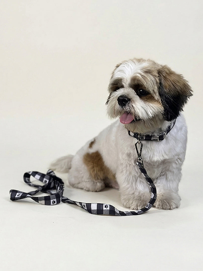 Printed Collar + Leash (Paw Printed) for dogs