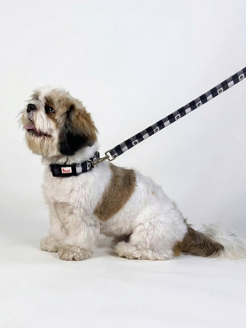Shih Tzu dog sitting and wearing a cute black and white Paw Printed Collar & Leash Set from The Woof Parade.