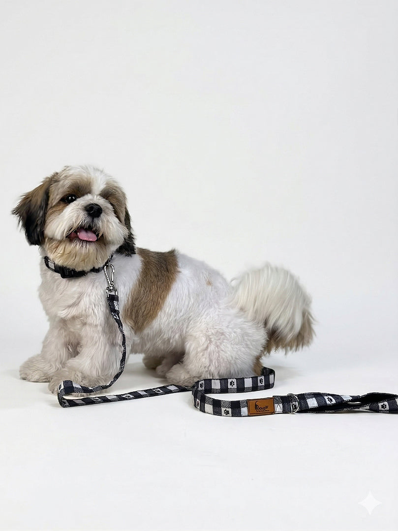 Printed Collar + Leash (Paw Printed) for dogs