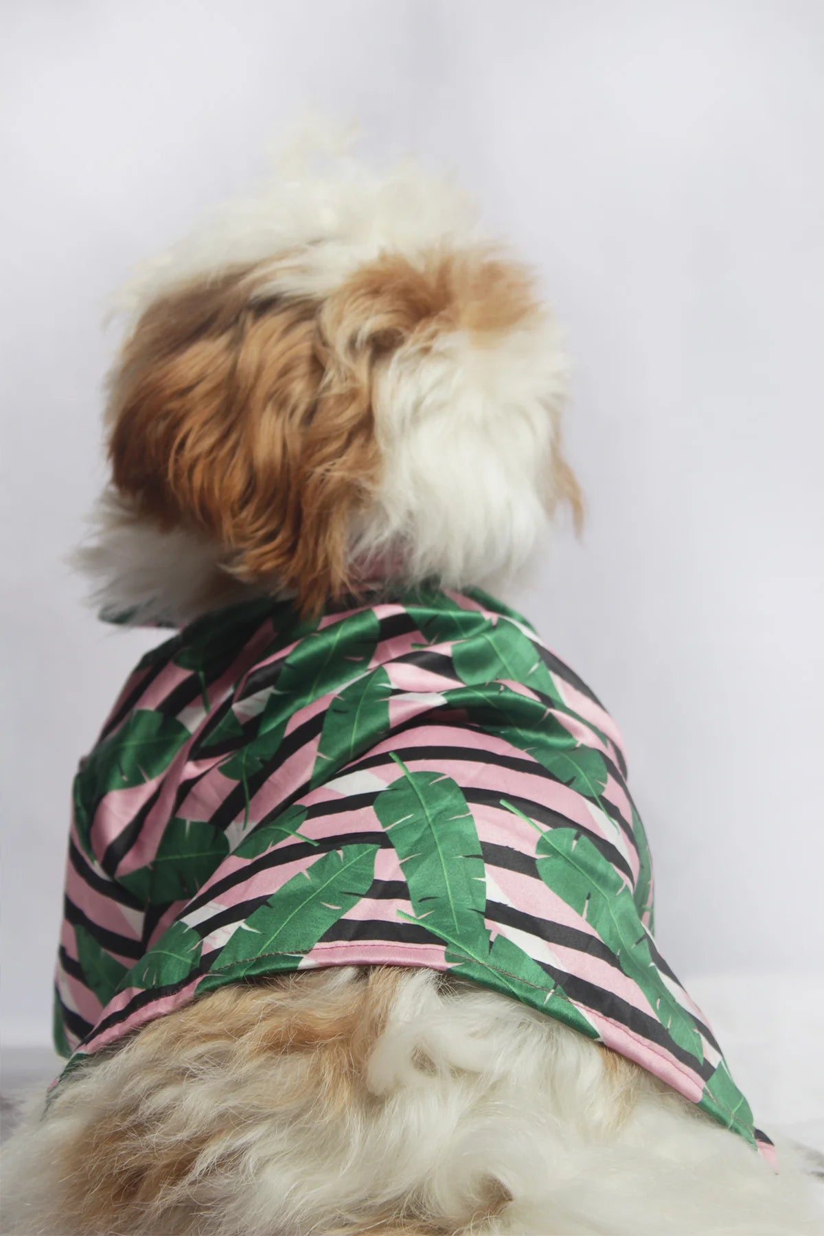 Back view of a relaxed fit satin dog shirt featuring a vibrant tropical leaf and stripe design by The Woof Parade.