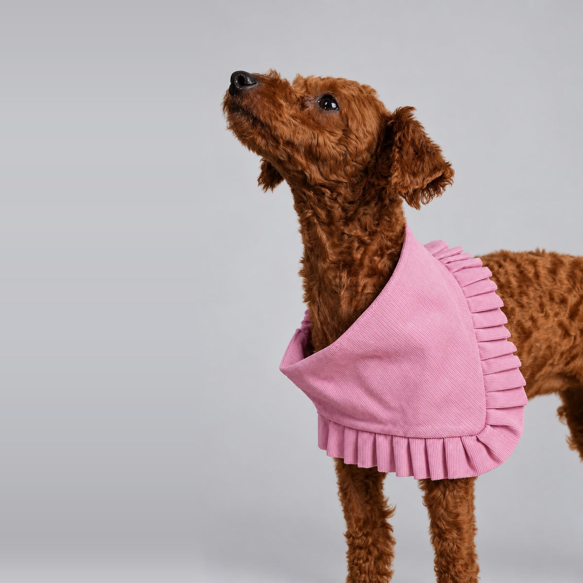 Pink Ruffle Bandana