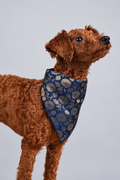 Royal Blue Floral Bandana