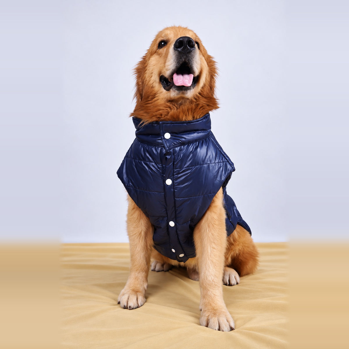 Royal Midnight Puffer Coat