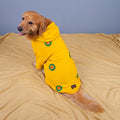 Sunshine Hoodie
