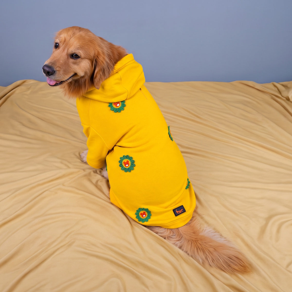 Sunshine Hoodie