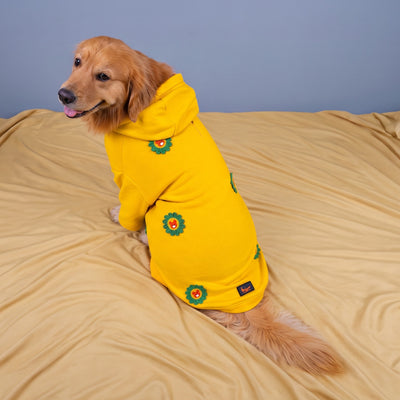 Sunshine Hoodie