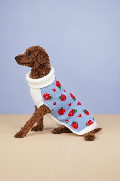 Sweet Strawberry Sweater
