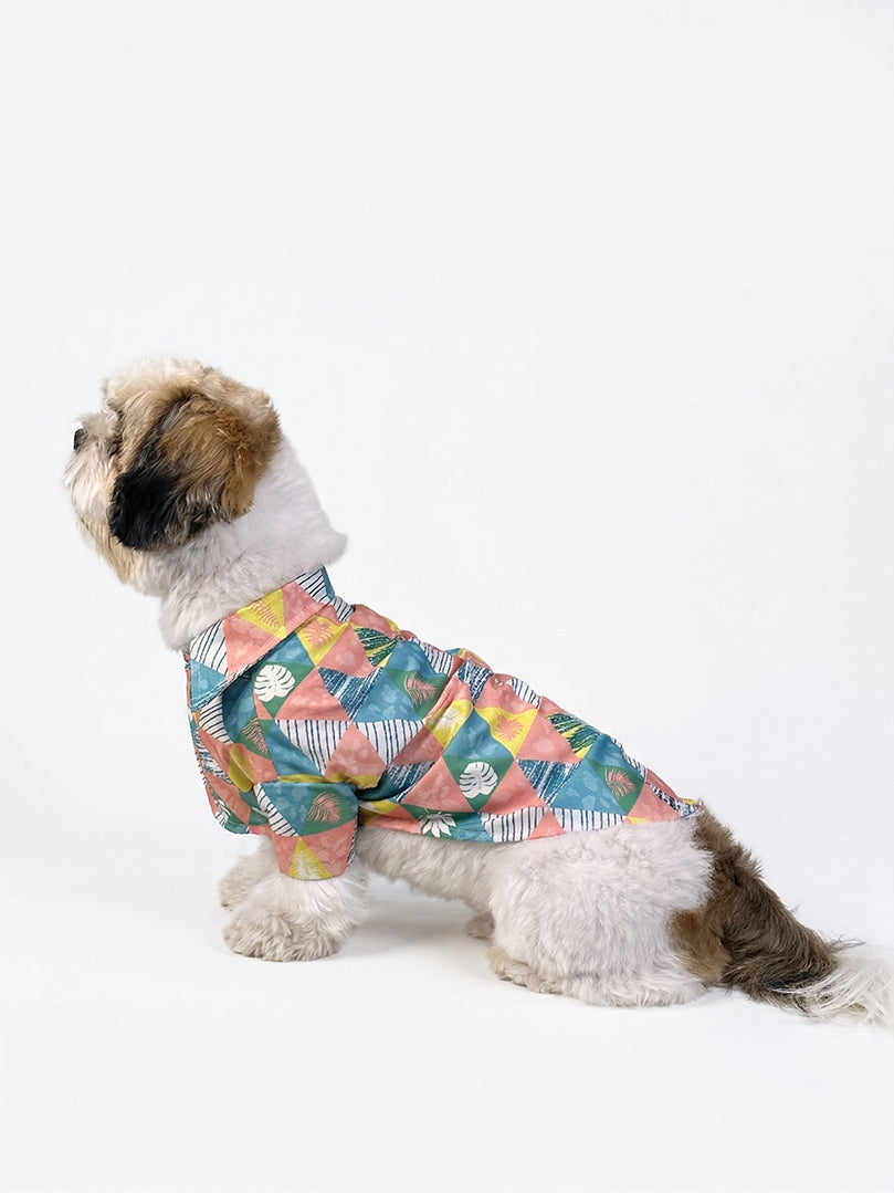 Shih Tzu dog sitting and wearing a colorful Tropicana Triangle Shirt for pets from The Woof Parade.